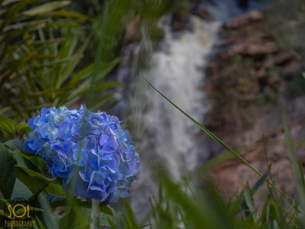 Pousada Aguas Da Mata Brejetuba Exteriér fotografie