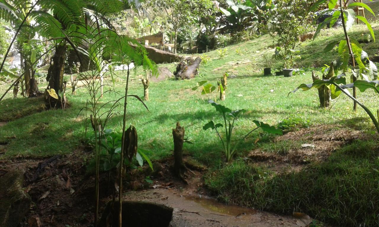 Pousada Aguas Da Mata Brejetuba Exteriér fotografie